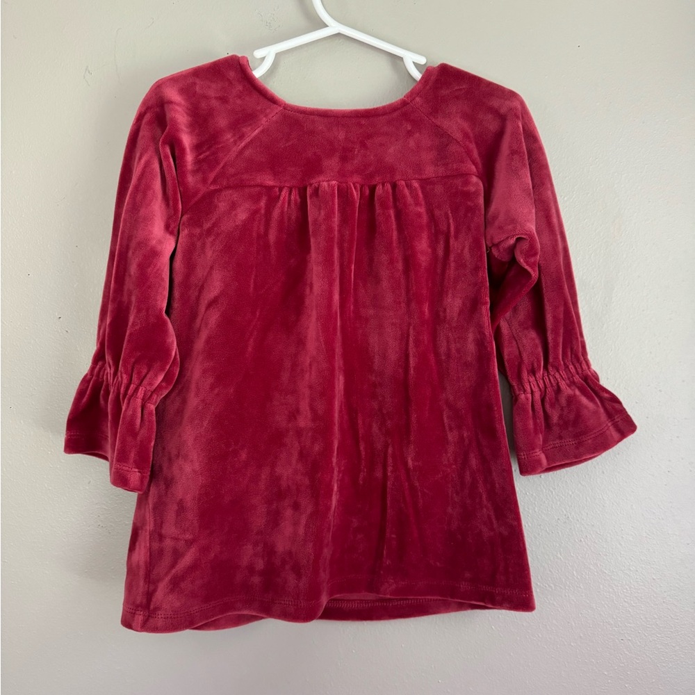 Tea Collection Velvet Plush Dress - size 2